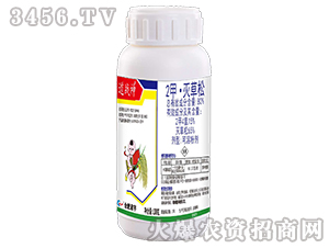 80%2�ס������-������-�Ϸ�����