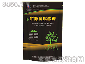 �VԴ�S�����-�����S