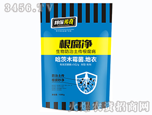 ������-�����-��ʘI