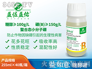 �Ǵ���-������-��������