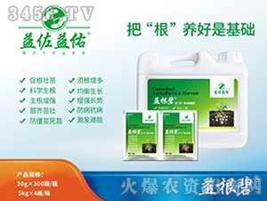 �����-�ѡ������B(y��ng)���ǻ��A-��������