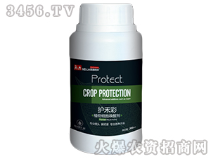 ֲ�：�����ф�-�o�̲�-������A