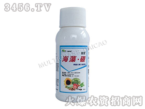 ���塤��-��ï-���ְٲ�