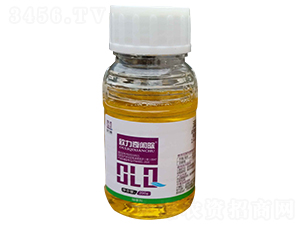 32%���ᡤ�ݸ��ˮ��-�W�����e��-�W����