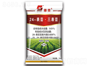 24-���|�������|ˮ��-ȭ��-�L�p�rˎ