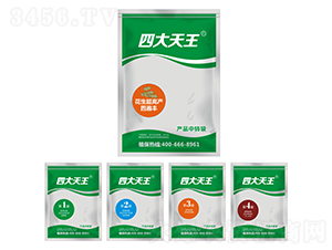 �������߮a�ı��S-�Ĵ�����-��巉�