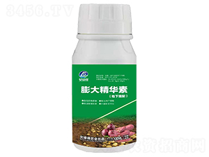 ����A�أ��������䣩-ؐ�G��