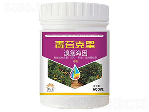 ��̦����-�֠���