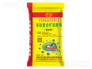 ���ďͺϵV�|����-���-���S�ʘI