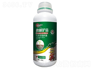 �ȸ��o�磨ȫ���Q�����������}��-�ŵ���