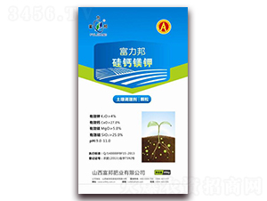 �����{�턩-���}�V�-����ʘI