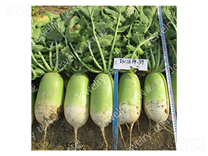 �¾G1439-�}���N��-������