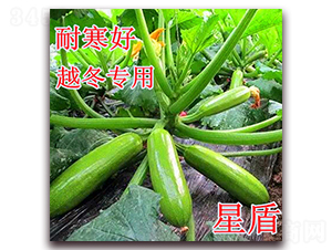 �Ƕ�-�����J�N��-��ʢ�r�I