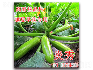 ����-�����J�N��-��ʢ�r�I