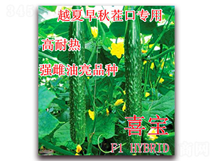 ϲ��-�S�ϷN��-��ʢ�r�I(y��)