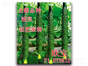 �W��-�S�ϷN��-��ʢ�r�I(y��)