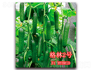 ����2̖-�S�ϷN��-��ʢ�r�I(y��)