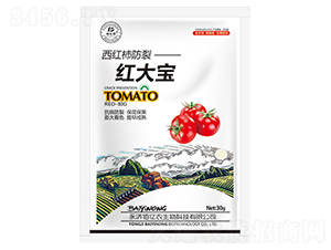 ���t�����Ѽt��-�ۃ|�r����