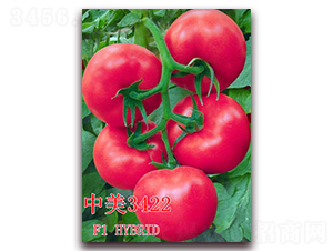 中美3422-番茄種子-冠盛農(nóng)業(yè)