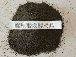 �l���u�S-���|�ʘI