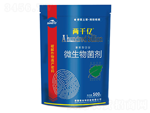 ΢�������-��ǧ�|-����S