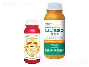 �����+�����-����S