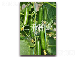 �и�-�S�ϷN��-�ʺ̷N�I(y��)