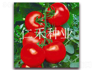 RH19-�t�����ѷN��-�ʺ̷N�I