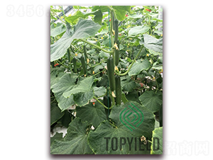 �Ã�1̖-�S�ϷN��-�S�ǷN�I(y��)