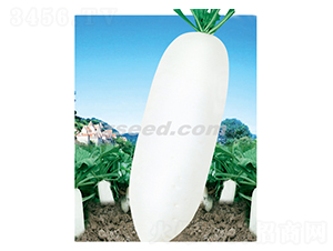 ���x���~ʮ��-�}���N��-�F���N�I