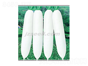 �h�׽�-�}���N��-�F���N�I