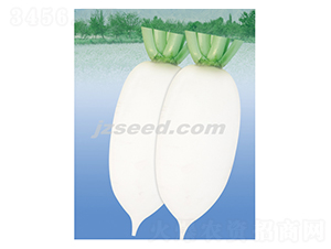 ���@ؕƷ-�}���N��-�F���N�I