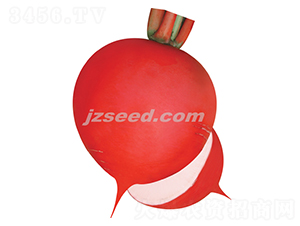 ���@�t��-�}���N��-�F���N�I