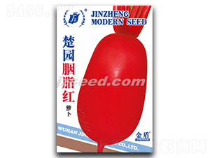 ���@��֬�t-�}���N��-�F���N�I