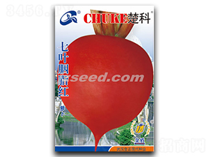 ���~��֬�t-�}���N��-�F���N�I