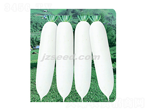 �y��707-�}���N��-�F���N�I