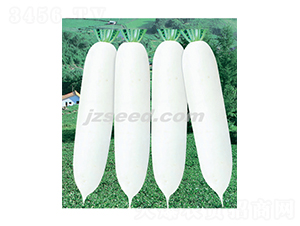 ѩ���R-�}���N��-�F���N�I