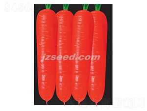 �t��809��S-���}���N��-�F���N�I