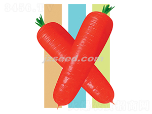 �t��808��S-���}���N��-�F���N�I