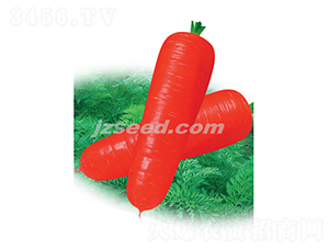 �t��807��S-���}���N��-�F���N�I