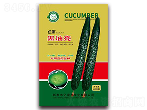 �|�Һ�����-�S�ϷN��-�|���S