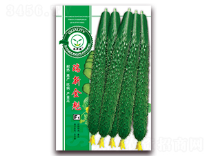 ���½��-�S�ϷN��-�|���S