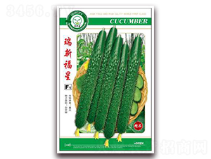 ���¸���-�S�ϷN��-�|���S