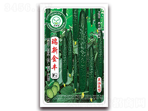 ���½��S-�S�ϷN��-�|���S