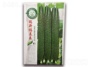 ���¸�����-�S�ϷN��-�|���S