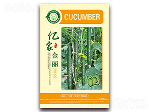 �|�ҽ���-�S�ϷN��-�|���S