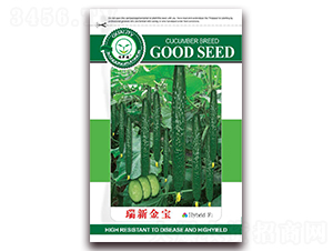 ���½���-�S�ϷN��-�|���S