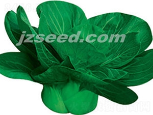 �����K����-С�ײ˷N��-�F���N�I