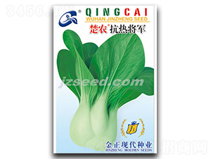 ���r���ጢ܊-С�ײ˷N��-�F���N�I