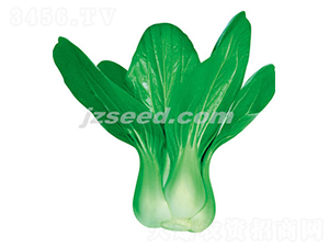 ���ڶ�̖-С�ײ˷N��-�F���N�I